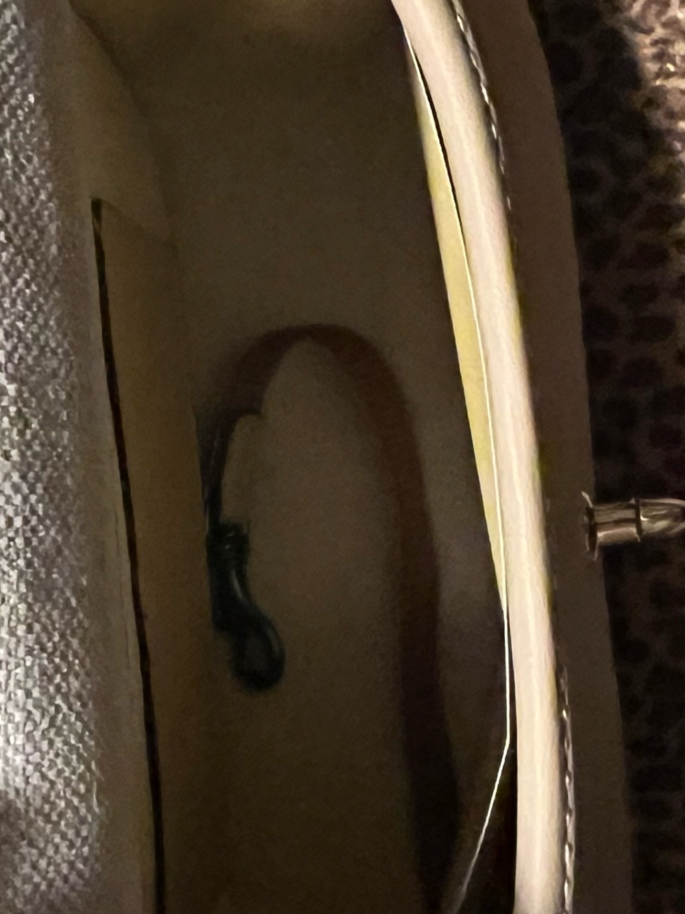 Dooney & Bourke Leather Crossbody in Tomato with Gold Hardware NWT - Picture 4 of 8
